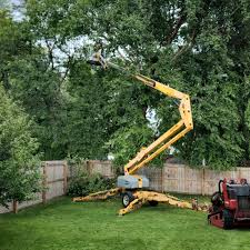 How Our Tree Care Process Works  in  Wanaque, NJ