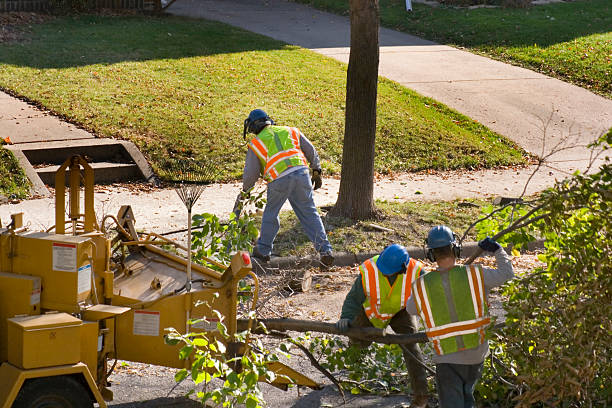 Lawn Watering Services in Wanaque, NJ